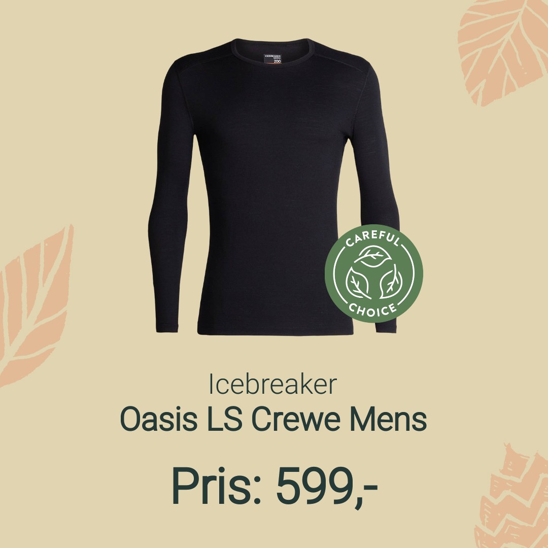 Oasis LS Crewe 200 undertrøje Icebreaker - Skiundertøj - Skitøj - Tøj